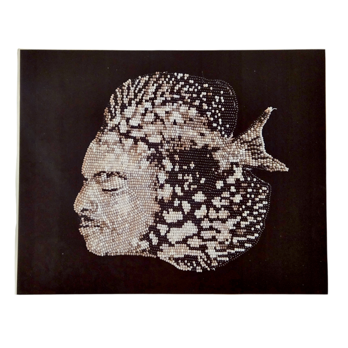 Art Prints by Arpeggio