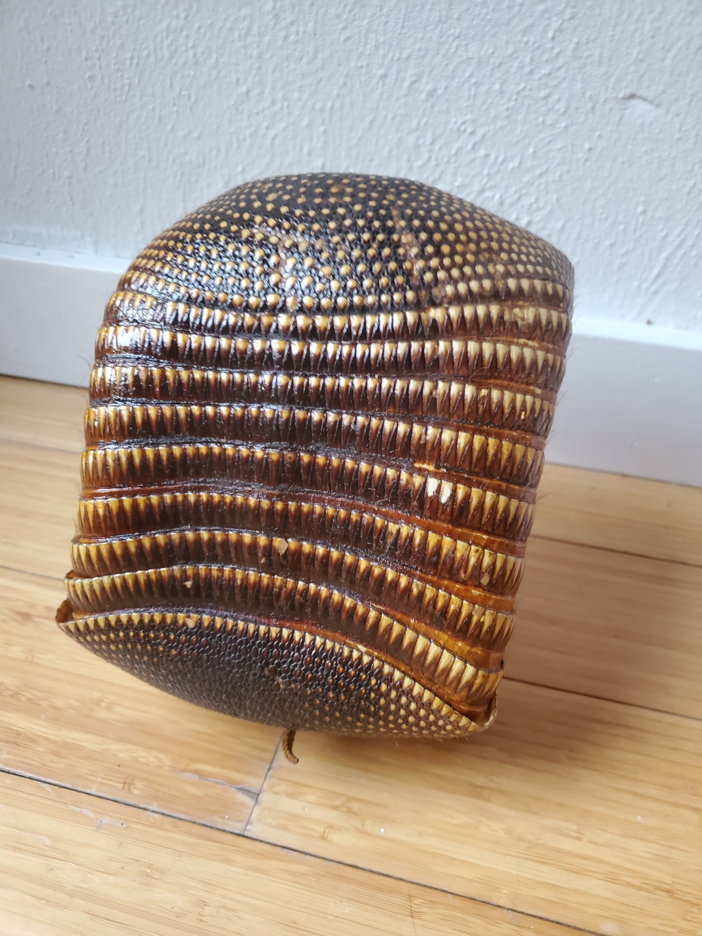 Antique Armadillo Basket