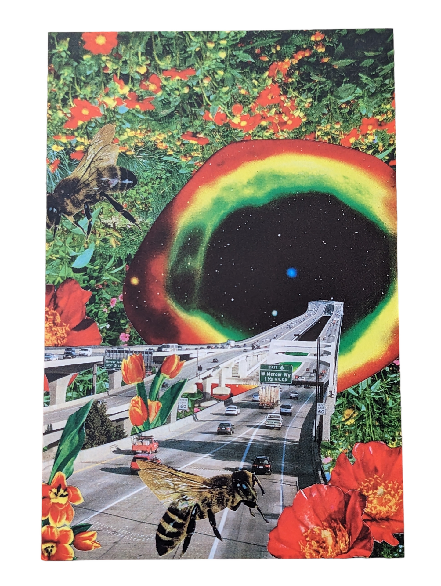 Post Cards by Naomi Amber Dawn