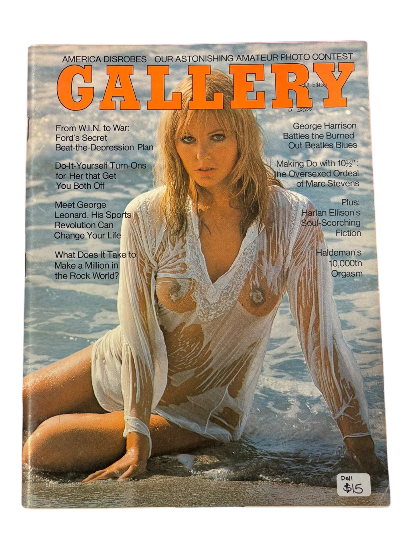 Assorted Vintage Gallery Magazines