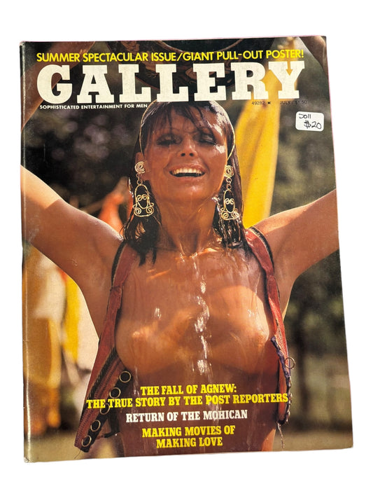 Assorted Vintage Gallery Magazines