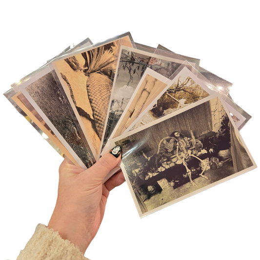 Antique Photo Re-Prints by Zombie Head