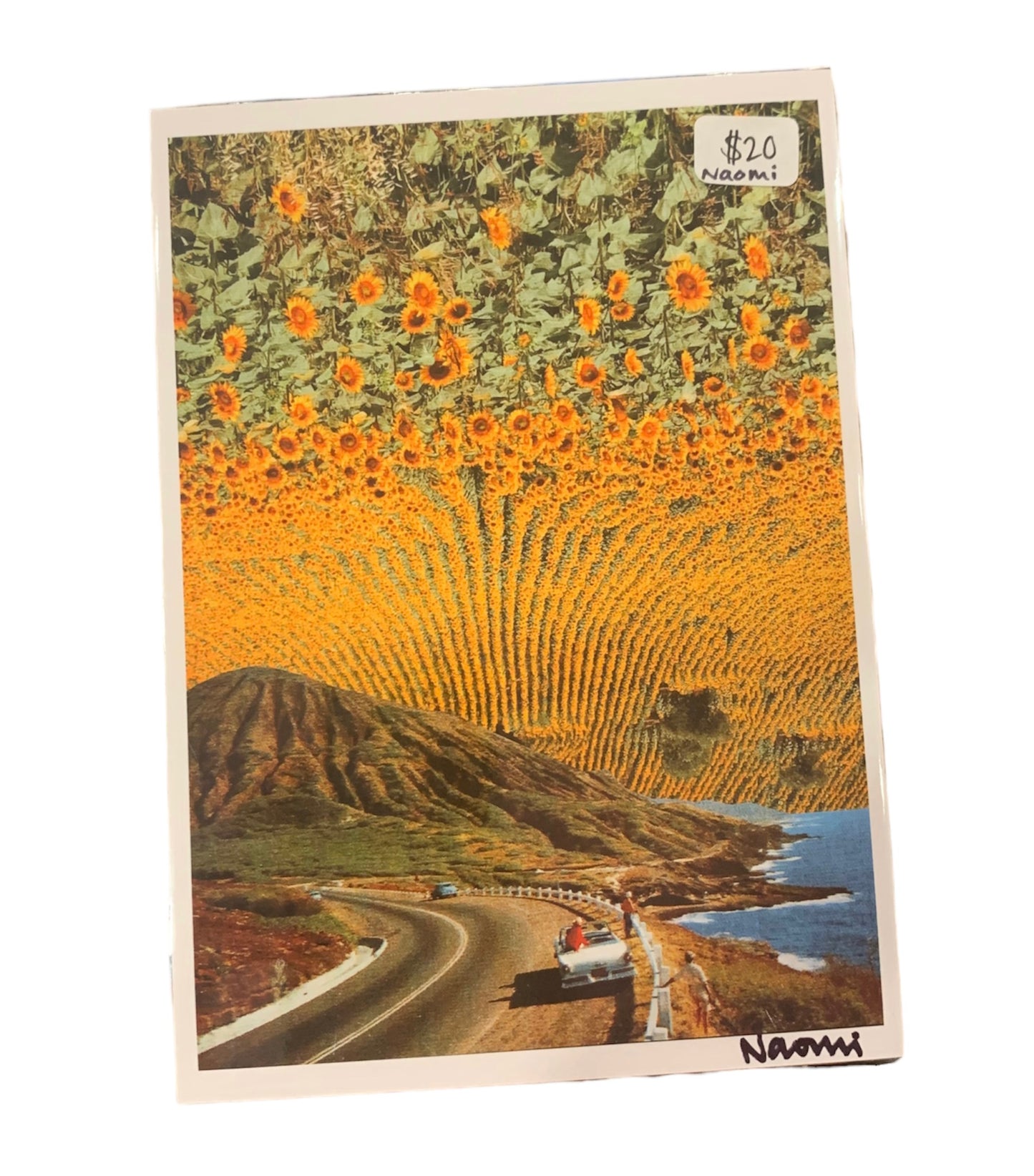 Sunflower Highway by Naomi Amber Dawn