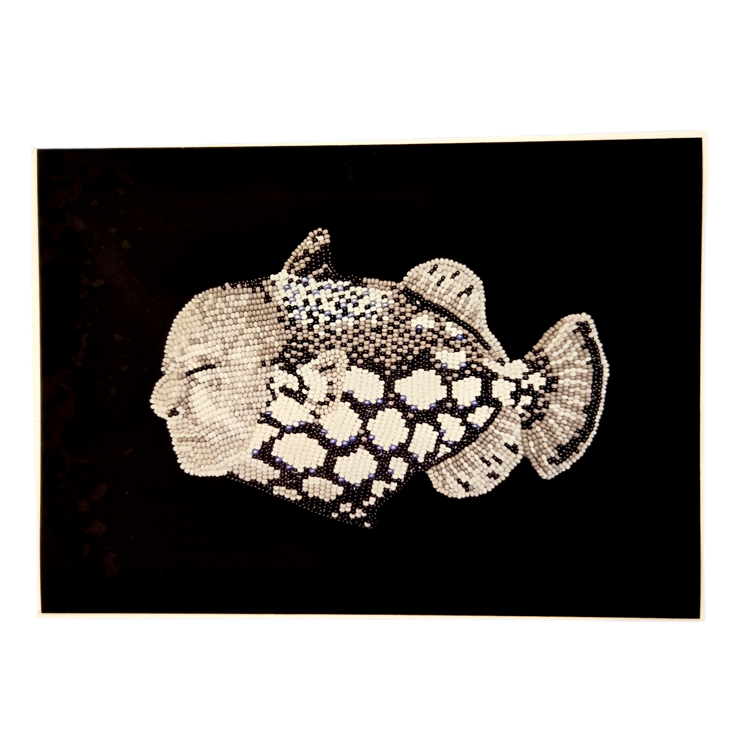 Art Prints by Arpeggio