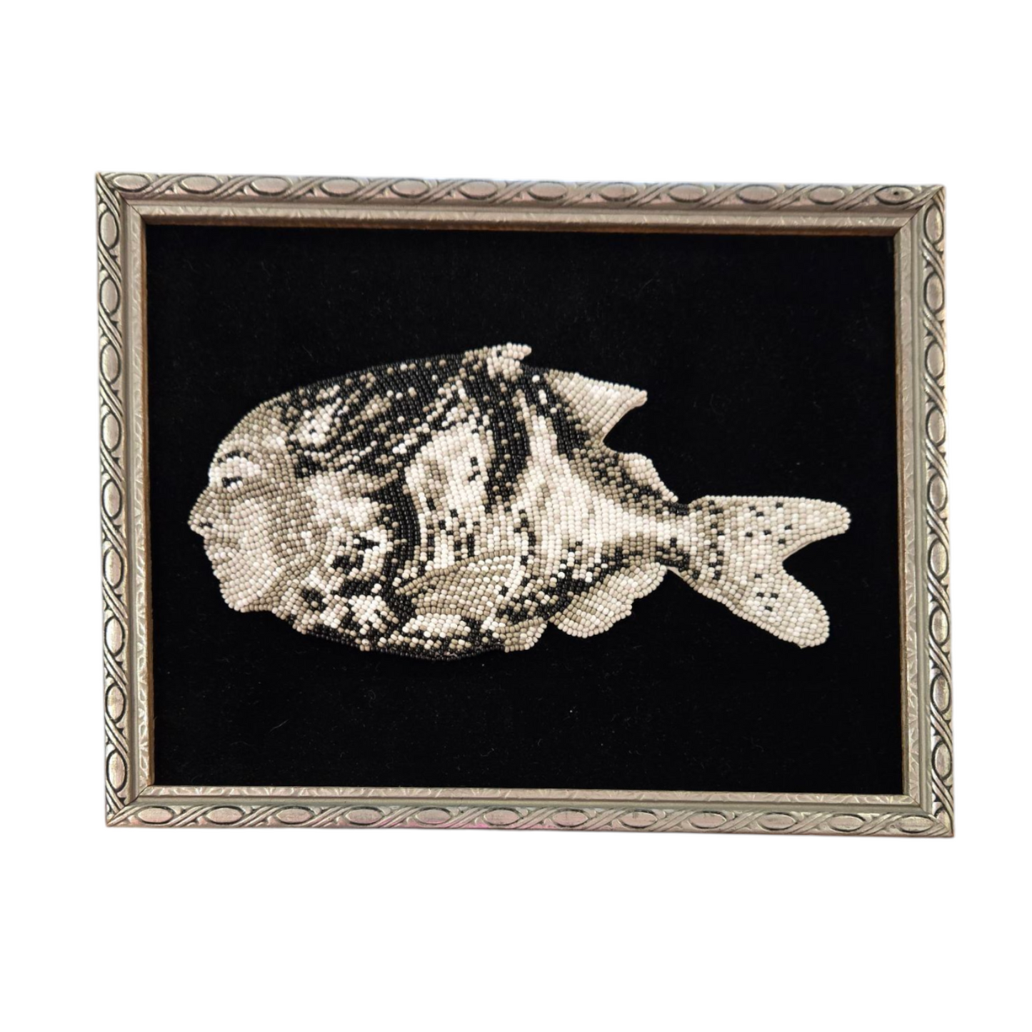 Framed Beaded Corpse Fish Portraits by Arpeggio