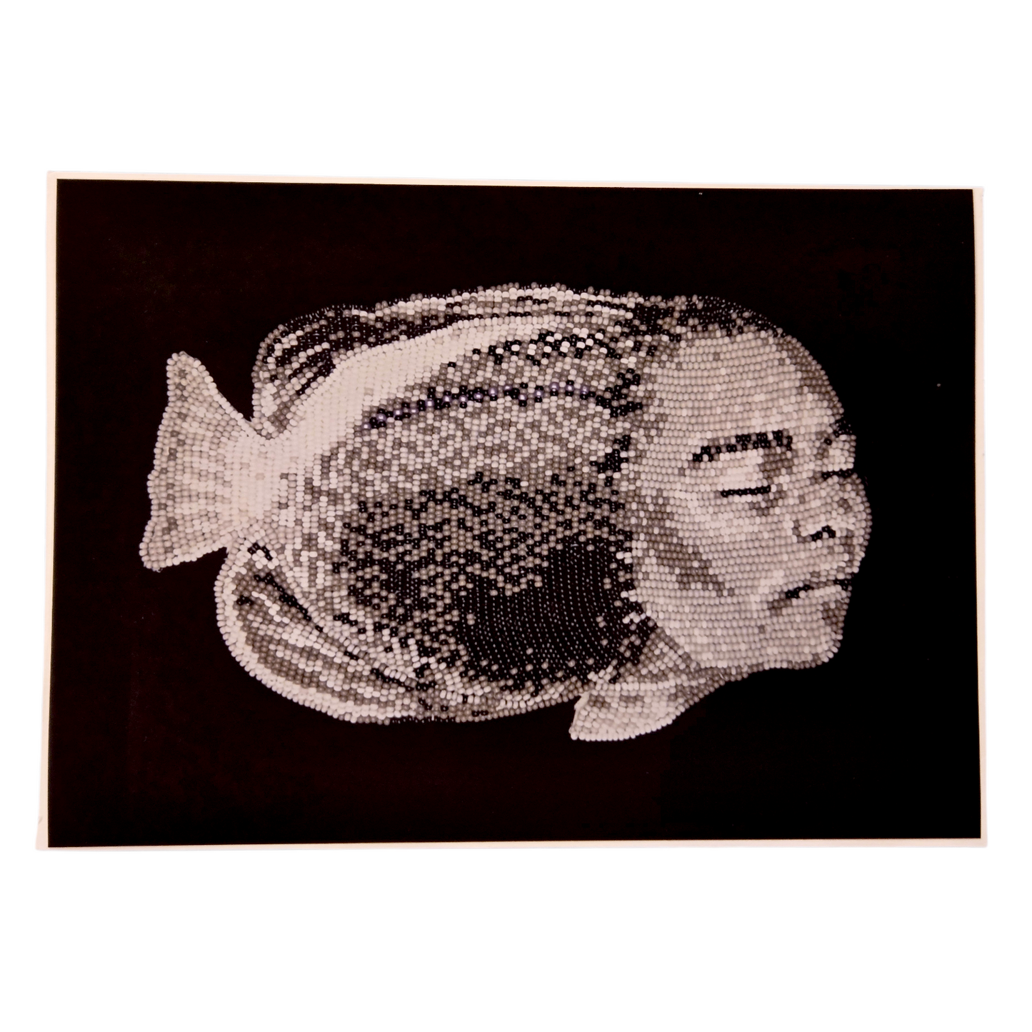 Art Prints by Arpeggio