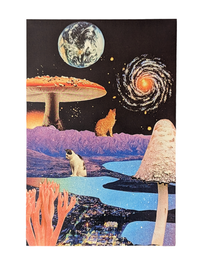 Collage Art Post Cards by Naomi Amber Dawn